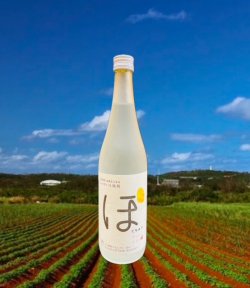 画像2: 【じゃがいも焼酎】久米仙酒造 ぽてちゅう 25度 720ml