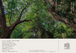 画像3: 伊是名酒造所 twilight (トワイライト）44度 700ml