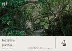 画像2: 伊是名酒造所 twilight (トワイライト）44度 700ml